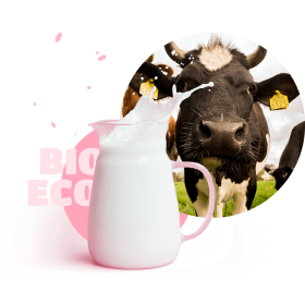 milk jug with cow behind